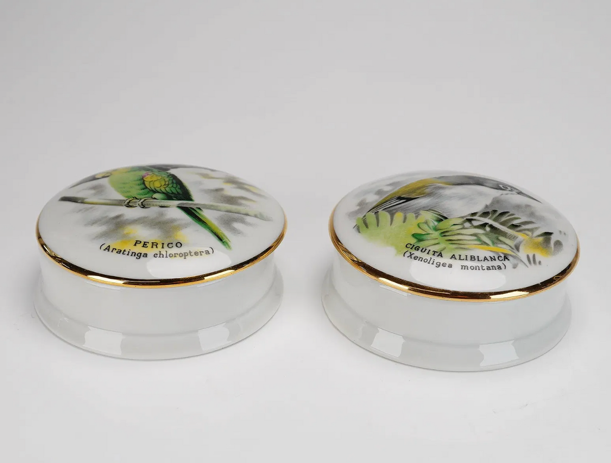 Pair of Limoges France Porcelain Bird Trinket Boxes