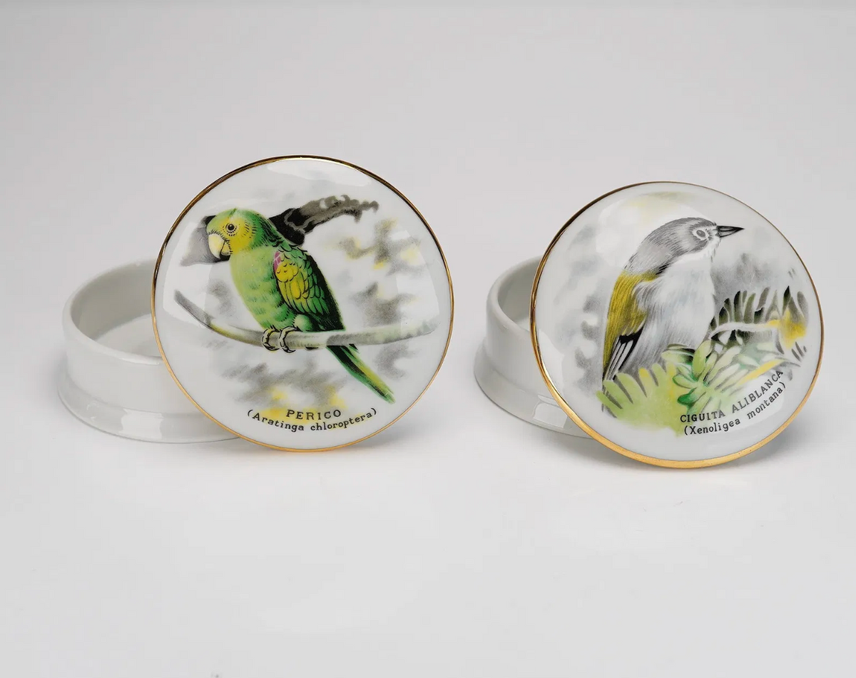 Pair of Limoges France Porcelain Bird Trinket Boxes